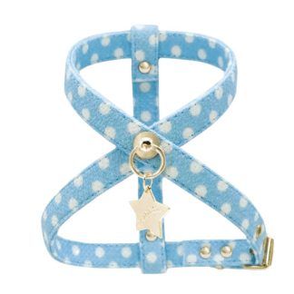 Arnes Dotty Azul Funkylicious