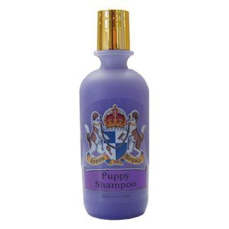 Champús