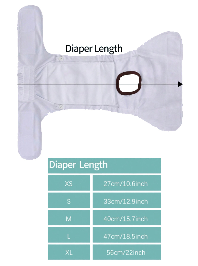 Braguita higiénica para perritas - Modelo Mariposas - Imagen 4