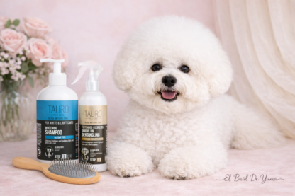 Bichón Frisé cuidado del pelo