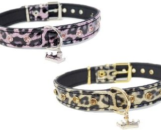 Collar para perro CHER - estilfordog